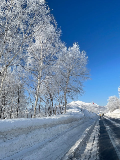 Niseko Season 22/23 Wrap Up