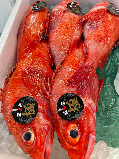 Soy Braised Kinki Fish